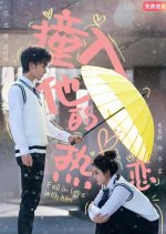 Fall in Love with Him Chinese Drama(2025) photo