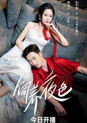 Si Yang Ye Se (2025) poster