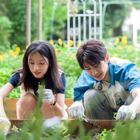 Heart Signal Season 8 (2025)