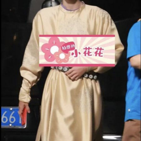 Jiang Shan Wei Pin ()