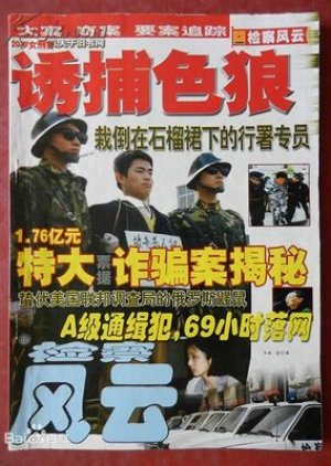 Da An Zhui Zong (2003) poster