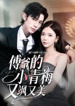 Fu Ye De Xiao Qing Mei You Sa You Mei Chinese Drama(2025) photo