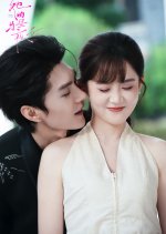 Her Days and Nights Chinese Drama(2025) photo