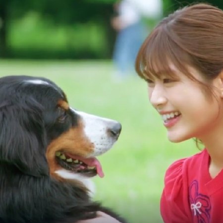 Love & Revenge: Spy Game (2025)