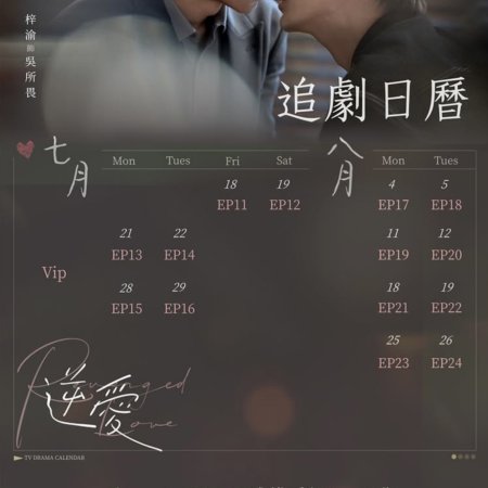 Revenged Love (2025)