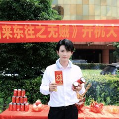 There Are No Thieves in the World Chinese Drama(2025) photo