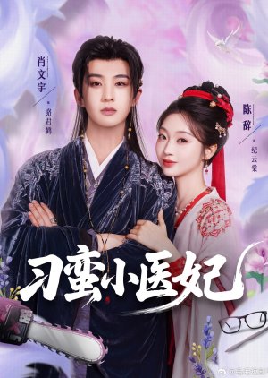 Diao Man Xiao Yi Fei (2025) poster