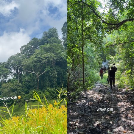 Revamp the Undead Story (2025)