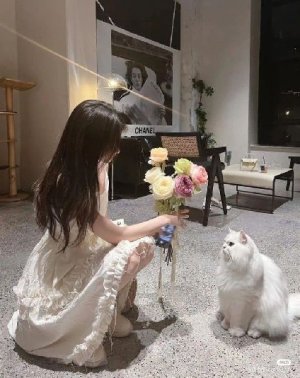 mizuki 