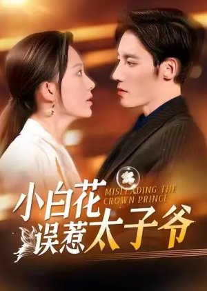 Misleading the Crown Prince (2024) poster