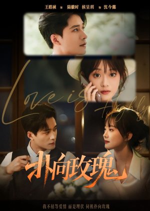 Pu Xiang Mei Gui (2025) poster