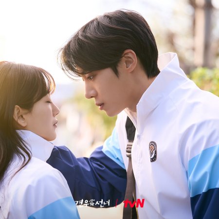 Head over Heels (2025)