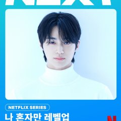 Solo Leveling Korean Drama photo