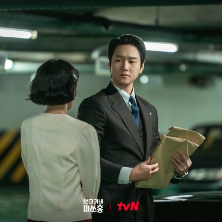 Undercover Miss Hong (2026)