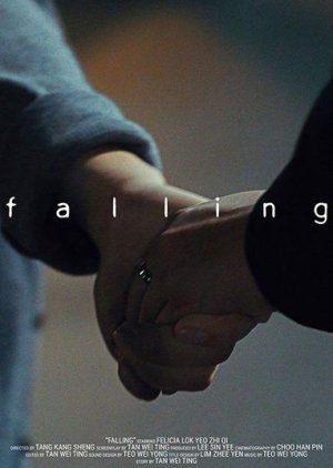 Falling (2016) poster