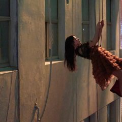 Can This Love Be Translated? Korean Drama photo