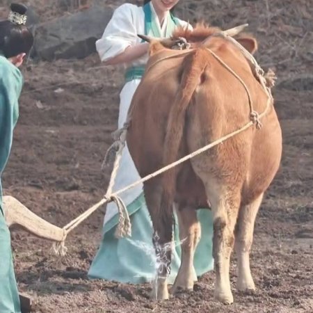 Where the Mask Ends ()