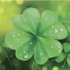 Guess the K-Drama by a Hint and a Four-Leaf Clover