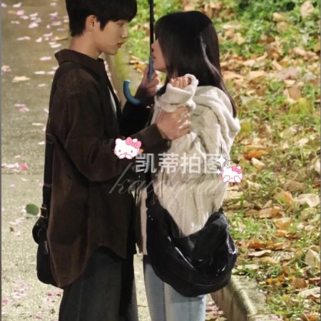 Sunshine through the Rain ()