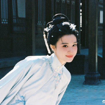 A Ming Dynasty Adventure ()