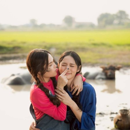 Hometown Romance (2026)