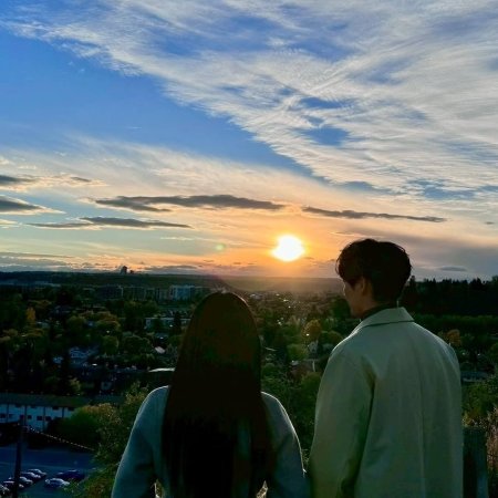 Can This Love Be Translated? (2026)