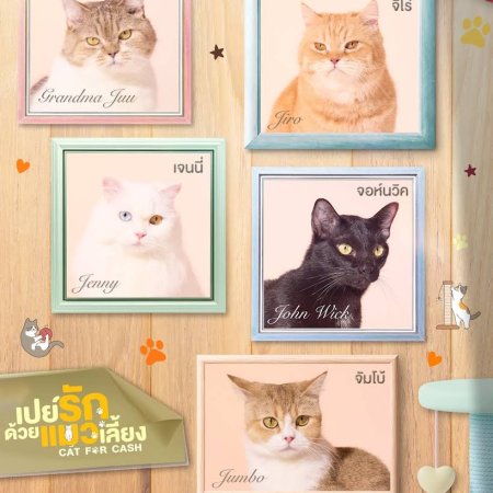 Cat for Cash (2026)