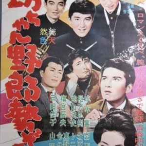 Botchan Yaro Seizoroi (1961)
