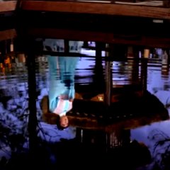 Human Lanterns Hong Kong Movie photo