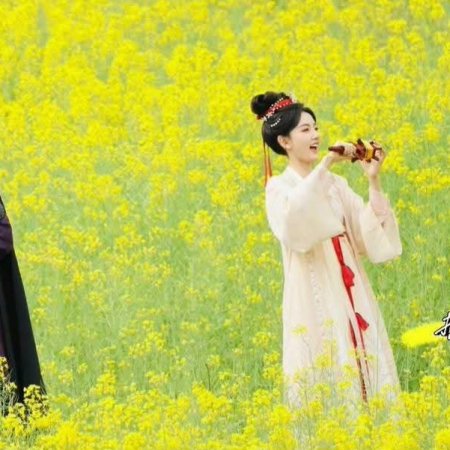 The Palace Stewardess ()