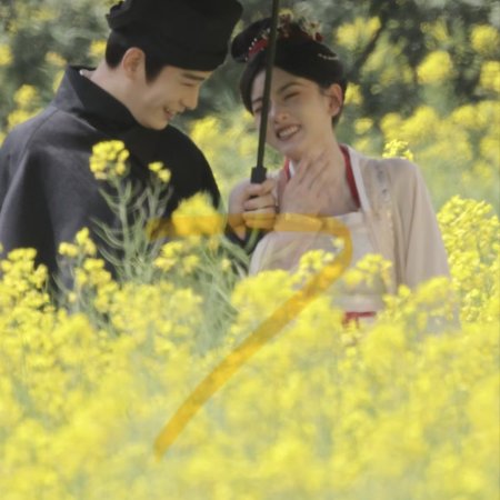 The Palace Stewardess ()