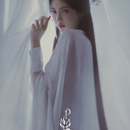 Veil of Shadows (2026)