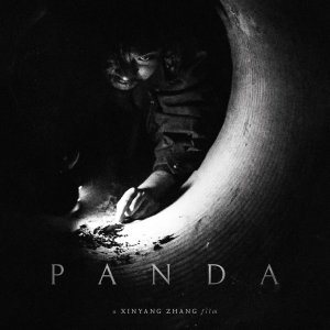 Panda (2026)