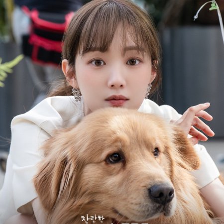 In Your Radiant Season (2026)