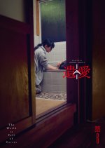 Iai Japanese Movie(2026) photo