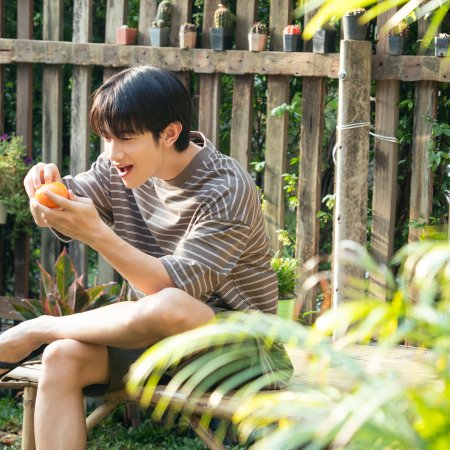 When Oranges Fall (2026)