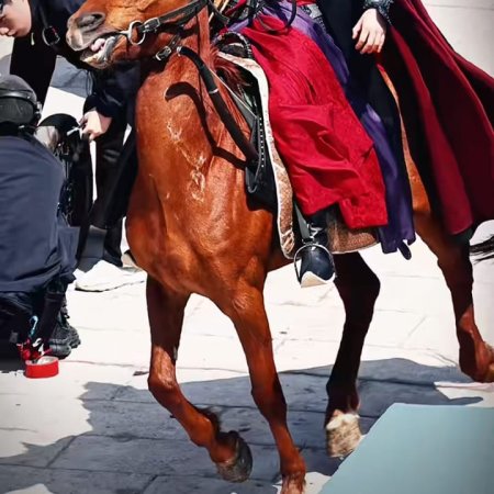 The Palace Stewardess ()