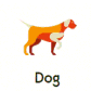 Dog – (Birth year: 2006, 1994, 1982,1970, 1958 ):  Loyal, responsible, honest, and protective