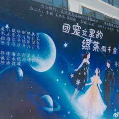 Tuan Chong Wen Li De Lv Cha Jia Qian Jin Chinese Drama(0000) photo