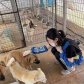 Met while Volunteering at dog shelter