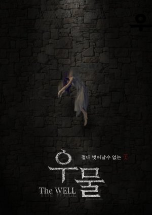 The Well (0000) poster