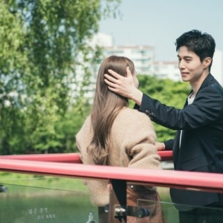 The Nice Guy (2025)