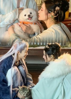 Bai Li An Shu (2023) poster