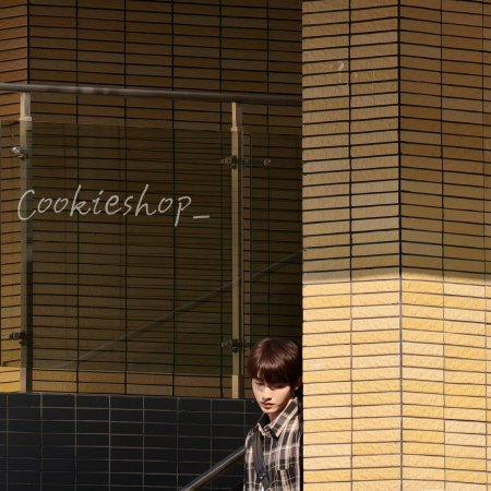 Sunshine through the Rain ()