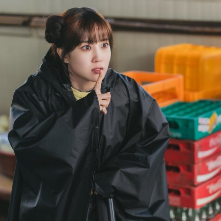 The WONDERfools (2026)