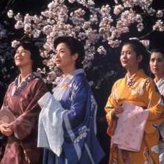 The Makioka Sisters Japanese Movie(1959) photo