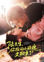 Lu Xian Sheng, Ni Jian De Xiao Mei Gui You Xian Zhou Le Chinese Drama(2025) photo