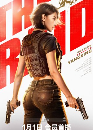 The Raid (2026) poster