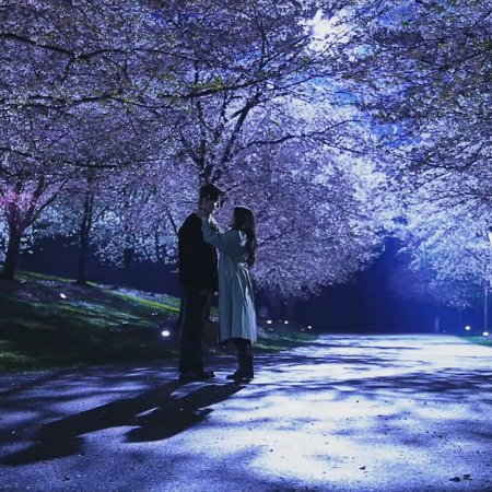 Love between Lines (2026)