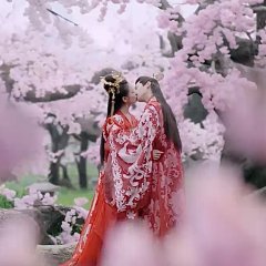 And the Winner Is Love Chinese Drama photo